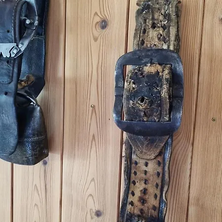 Alpine Retreat & Sauna